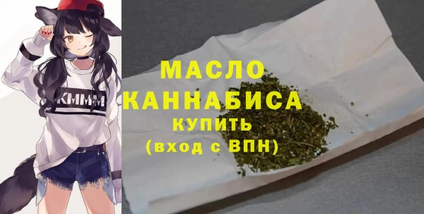 крисы Верхний Тагил